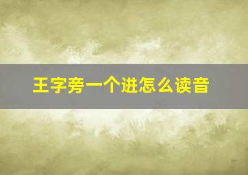 王字旁一个进怎么读音