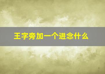 王字旁加一个进念什么