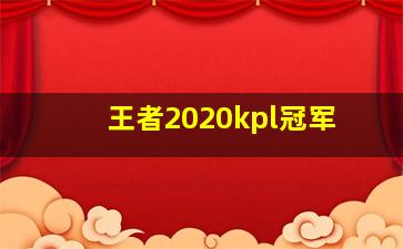 王者2020kpl冠军