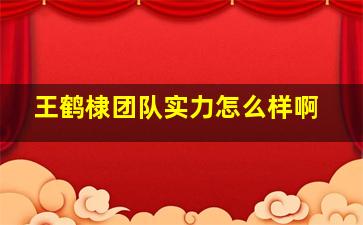 王鹤棣团队实力怎么样啊