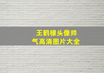 王鹤棣头像帅气高清图片大全