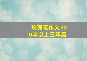 玫瑰花作文300字以上三年级