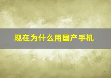 现在为什么用国产手机