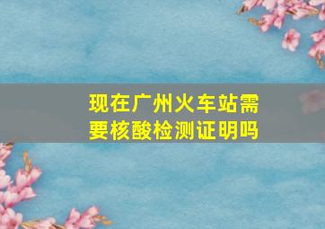 现在广州火车站需要核酸检测证明吗