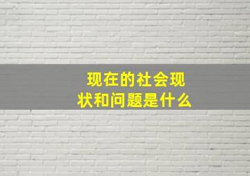 现在的社会现状和问题是什么