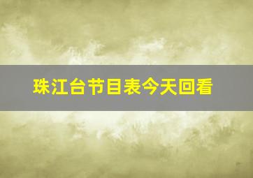 珠江台节目表今天回看