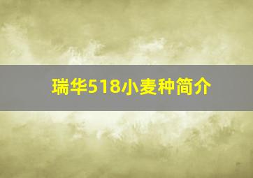 瑞华518小麦种简介