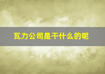 瓦力公司是干什么的呢