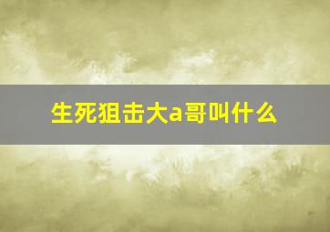 生死狙击大a哥叫什么