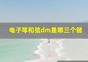 电子琴和弦dm是哪三个键