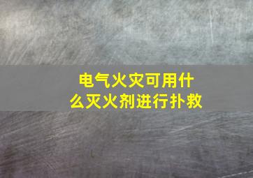 电气火灾可用什么灭火剂进行扑救