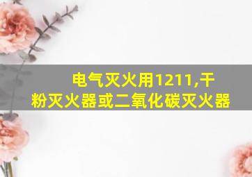 电气灭火用1211,干粉灭火器或二氧化碳灭火器