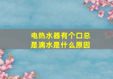 电热水器有个口总是滴水是什么原因