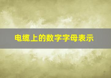 电缆上的数字字母表示