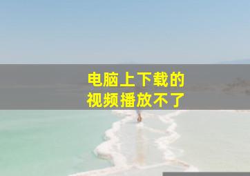 电脑上下载的视频播放不了