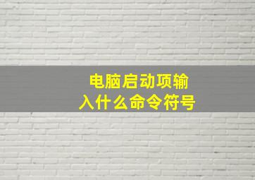 电脑启动项输入什么命令符号