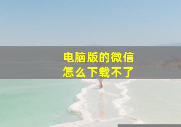 电脑版的微信怎么下载不了