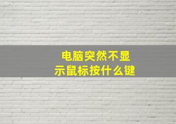 电脑突然不显示鼠标按什么键