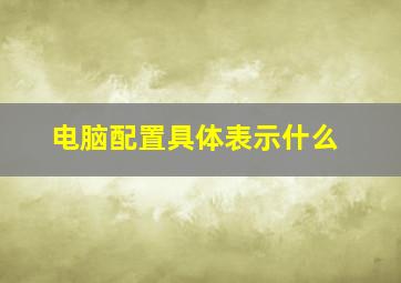 电脑配置具体表示什么