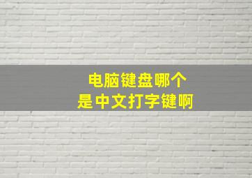 电脑键盘哪个是中文打字键啊