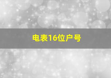 电表16位户号