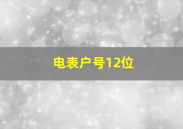 电表户号12位