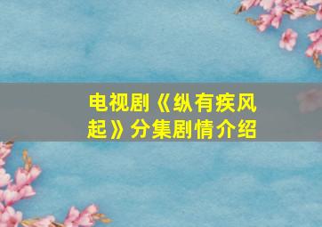 电视剧《纵有疾风起》分集剧情介绍