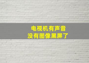 电视机有声音没有图像黑屏了