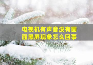 电视机有声音没有画面黑屏现象怎么回事