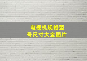 电视机规格型号尺寸大全图片