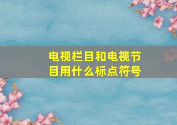 电视栏目和电视节目用什么标点符号