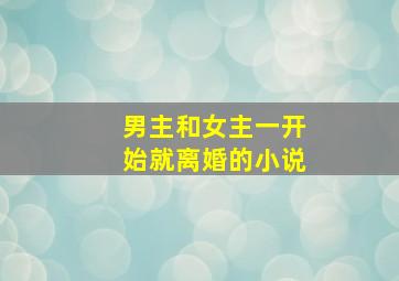 男主和女主一开始就离婚的小说