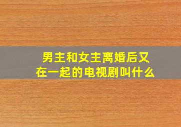 男主和女主离婚后又在一起的电视剧叫什么