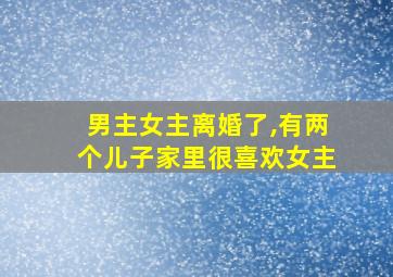 男主女主离婚了,有两个儿子家里很喜欢女主