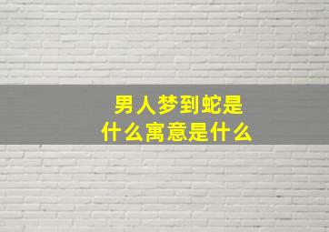 男人梦到蛇是什么寓意是什么