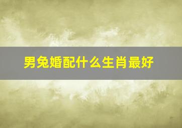 男兔婚配什么生肖最好