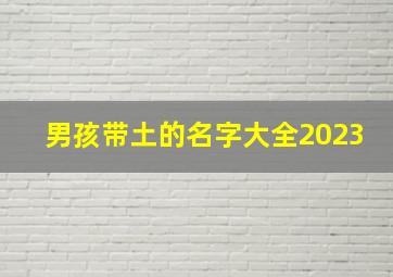 男孩带土的名字大全2023