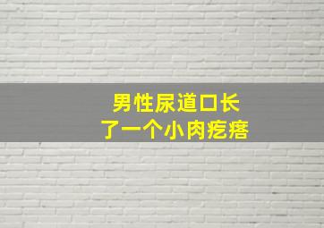 男性尿道口长了一个小肉疙瘩