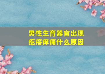 男性生育器官出现疙瘩痒痛什么原因