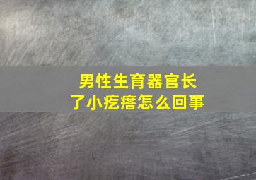 男性生育器官长了小疙瘩怎么回事