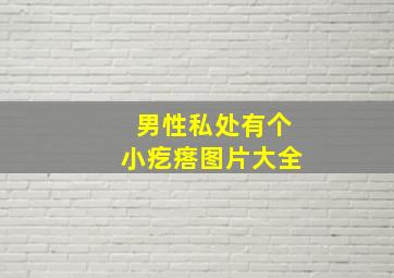 男性私处有个小疙瘩图片大全