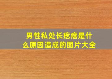 男性私处长疙瘩是什么原因造成的图片大全