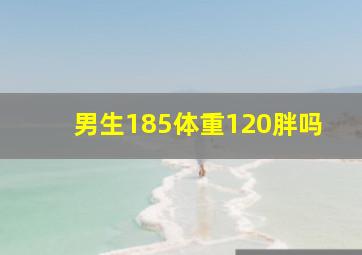 男生185体重120胖吗