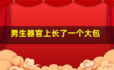 男生器官上长了一个大包