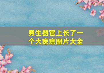 男生器官上长了一个大疙瘩图片大全