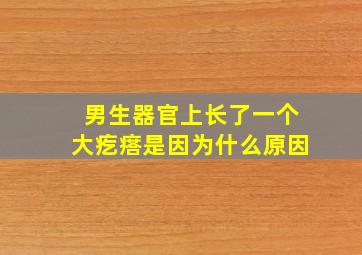 男生器官上长了一个大疙瘩是因为什么原因