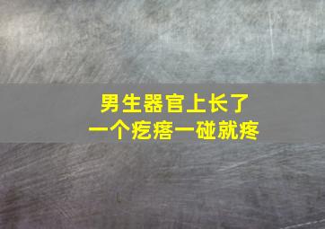 男生器官上长了一个疙瘩一碰就疼