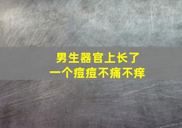 男生器官上长了一个痘痘不痛不痒