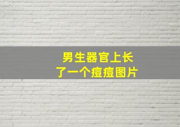 男生器官上长了一个痘痘图片