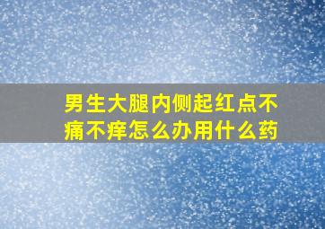 男生大腿内侧起红点不痛不痒怎么办用什么药